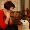 Types Of Dogs Hounds
