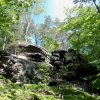 Types Of Ecosystems