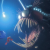 Types Of Fish In Finding Nemo