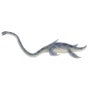 Types Of Fish Vertebrates