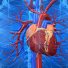 Types Of Heart Diseases