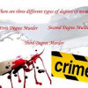 Types Of Murders Degrees