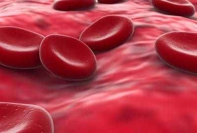 Types Of Anemia
