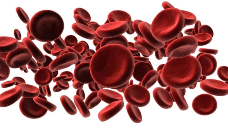 Types Of Blood Cancer