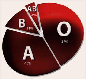 Types of Blood Groups