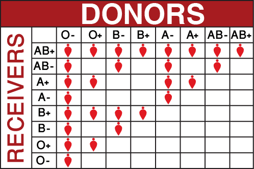 Types Of Blood