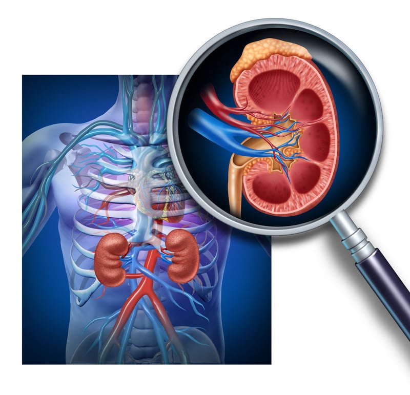 Types Of Dialysis