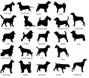 Types Of Dog Breeds