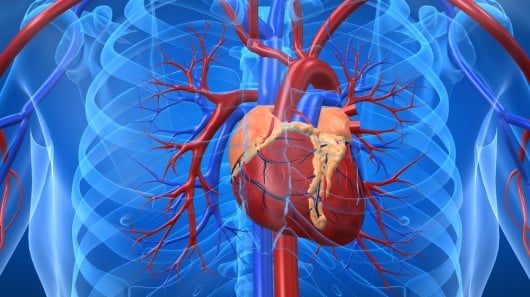 Types Of Heart Diseases