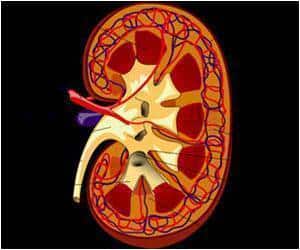 Types Of Kidney Diseases