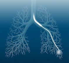 Types Of Lung Cancer