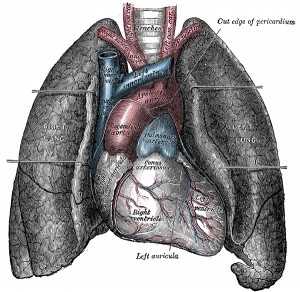 Types Of Lung Disease