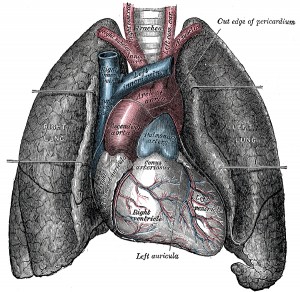 Types Of Lung Disease