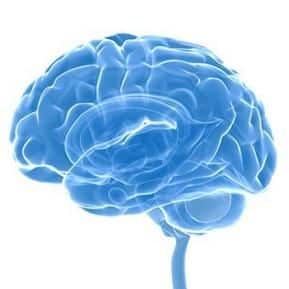 Types Of Meningitis