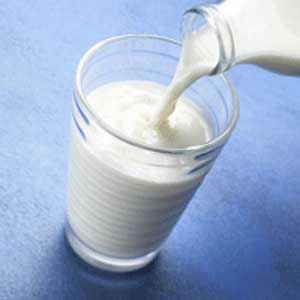 Types Of Milk