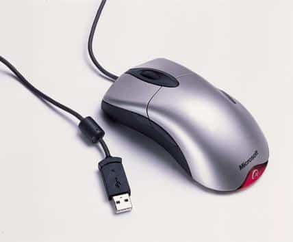 Types Of Mouse