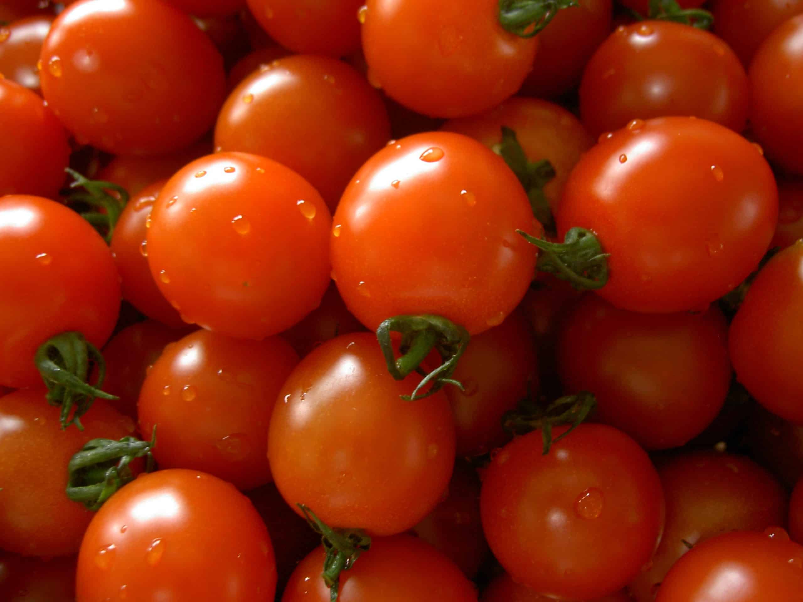 Types of Tomatoes