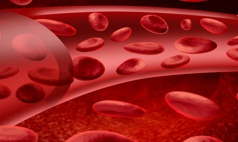 Types Of Blood Diseases