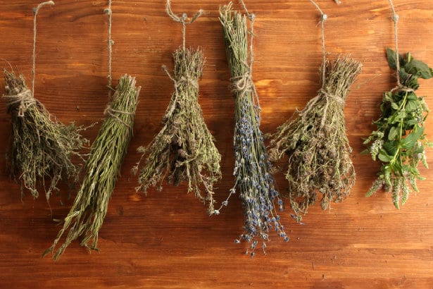 Types Of Herbs