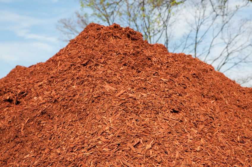 Types Of Mulch