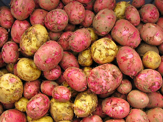Types Of Potatoes