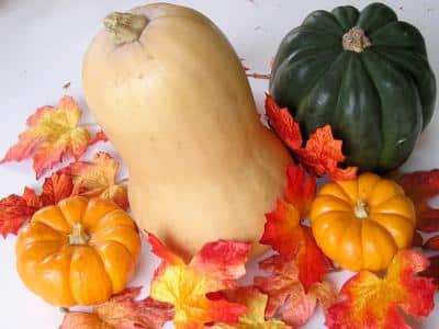 Types Of Squash