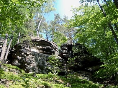 Types Of Ecosystems