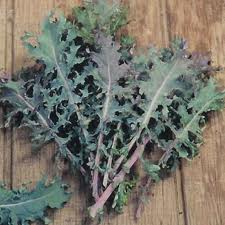 Types Of Kale