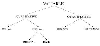 Types Of Variables