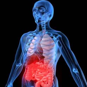 Types Of Cancers Adenocarcinoma