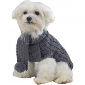 Types Of Dog Coats