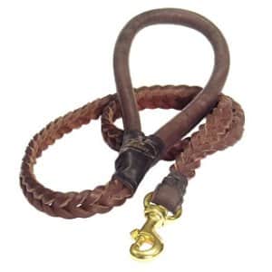 Types Of Dog Leashes