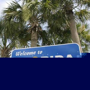 Types Of Fish In Florida