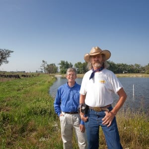 Types Of Soil Management