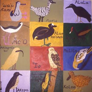 Types Of Birds Names