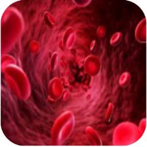 Types Of Blood Cancer