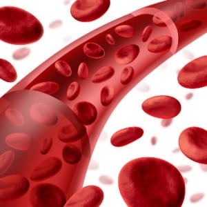 Types Of Blood Plasma