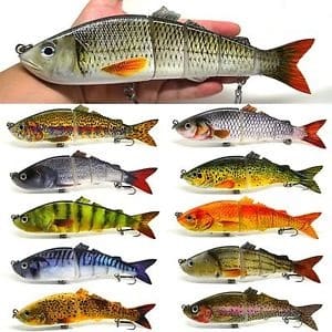Types Of Fish Bait