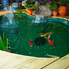 Types Of Fish Pond