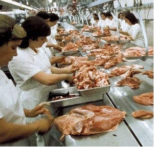 Types Of Food Processing