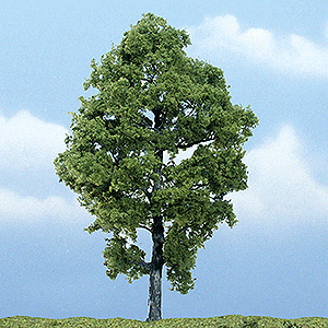 Types Of Hickory Trees