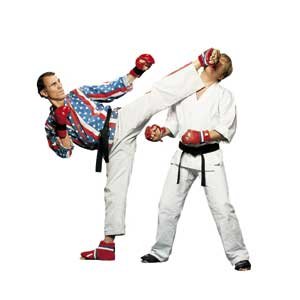 Types Of Martial Art Kicks
