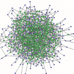 Types Of Network Architecture