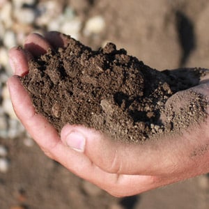 Types Of Soil Sand