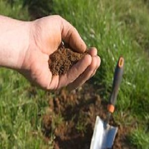 Types Of Soil To Grow Plants